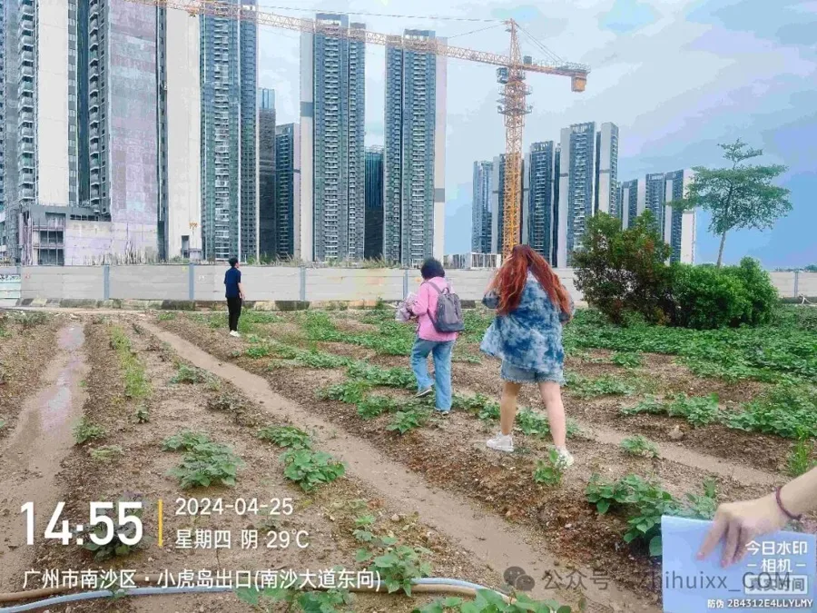 亭角村复垦工程验收现场